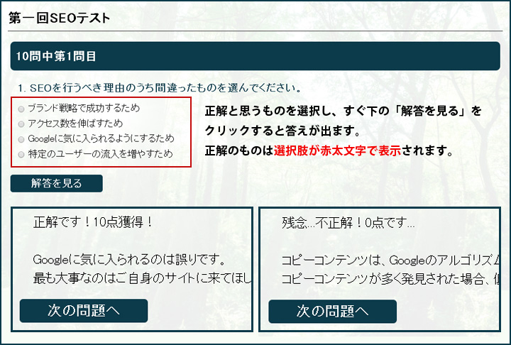 出題はラジオボタン式の選択問題